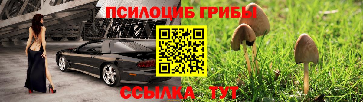 Псилоцибиновые грибы Magic Shrooms Лесозаводск